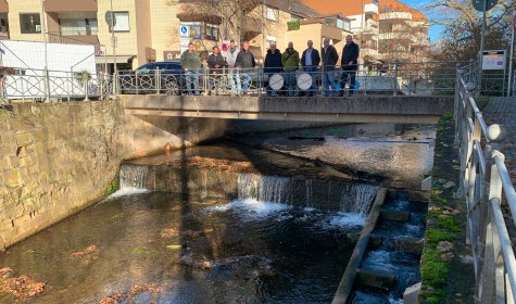 Mehrere Personen stehen auf der Brücke in der Dammstraße. Unter ihnen fließt die Salze, eine Fischtreppe ist in den Fluss gebaut.