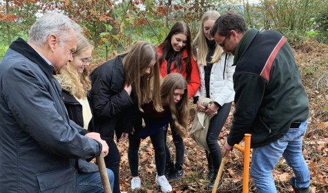 Herr von Leffern zeigt dem Bürgermeister und den Schüler*innen wie man die Eicheln einsät. , © Stadt Bad Salzuflen