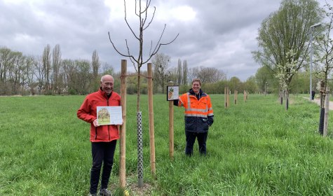 Zwei Männer stehen in den Hoffmanns Wiesen bei den im Rahmen der Aktion Stadtradeln neu gepflanzten Obstbäumen, © Stadt Bad Salzuflen